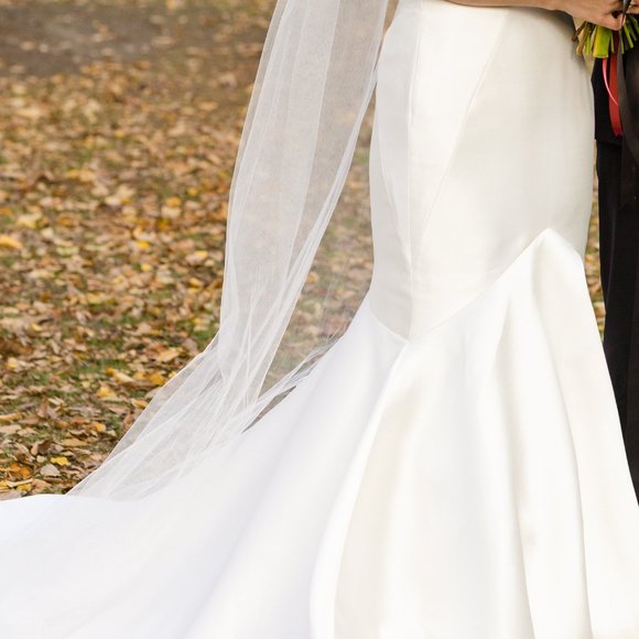 Pronovias Oberon Wedding Dress - Picture 4 of 5